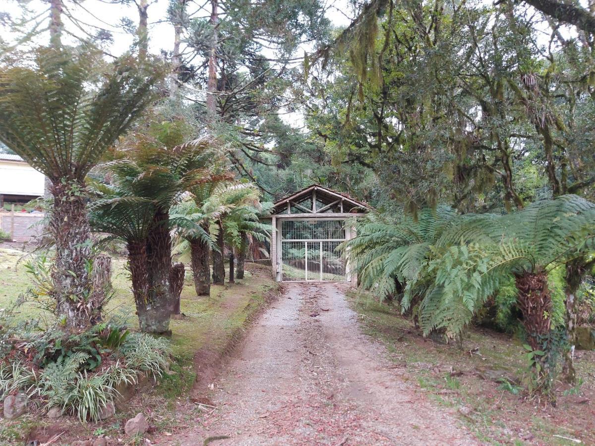 Sítio Dos Amigos Canela Exterior foto